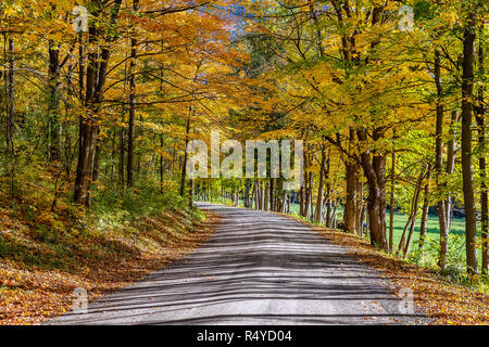 Unbefestigte Landstraße schlängelt sich durch bunte Herbstlaub, Middlebury, Vermont, USA. Stockfoto