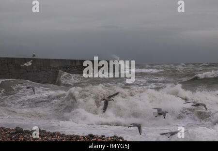 Newhaven, East Sussex, UK..28. November 2018..Starker Wind aus dem Südwesten peitscht die Wellen an der Südküste hoch. Stockfoto