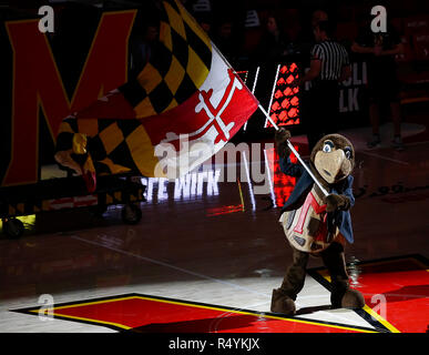 College Park, MD, USA. 28 Nov, 2018. Maryland Dosenschildkröten Maskottchen Wellen das Maryland Flagge vor einem NCAA Men's Basketball Spiel zwischen der Universität von Maryland Dosenschildkröten und der Universität von Virginia Kavaliere an der Xfinity Zentrum in College Park, Md. Justin Cooper/CSM/Alamy leben Nachrichten Stockfoto