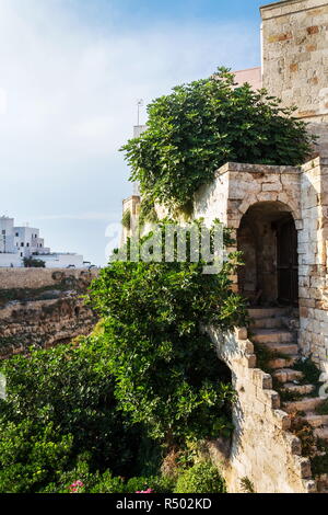 Treppen mit einer überwucherten Passage zur Altstadt im historischen Zentrum über schöne Strand Lama Monachile in Polignano a Mare, Italien, Adria, Apulien, Bar Stockfoto