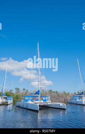 Touristische Katamarane liegen in der Anker an einer ruhigen Lagune in Kuba. Stockfoto