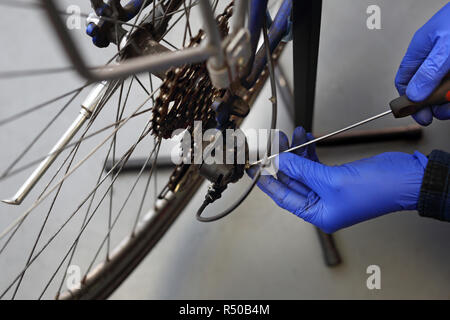 Mann strafft und schmiert das Schaltwerk in den Bike serviceman. Der Mann repariert das Fahrrad Fahrrad reparieren Fahrrad Service, Fahrrad reparieren Stockfoto