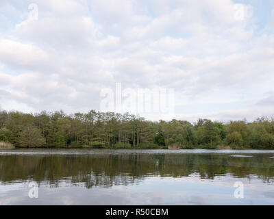 Wunderschöne See außerhalb des Landes auf einen späten Frühling Nachmittag mit Spiegelungen der Bäume in den üppigen Stockfoto