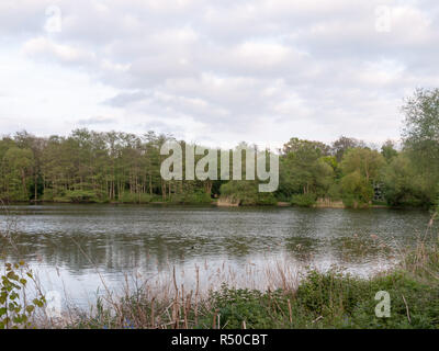 Eine wunderschöne Szene außerhalb Landschaft an einem See mit reflektiertem Bäume im Wasser am späten Nachmittag Frühjahr Sonnenuntergang üppigen und wunderschönen Stockfoto