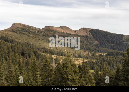 Herrlichen Blick auf die Gipfel drei Hügeln auf alten Berg in Serbien und Pinienwald mit einem weißen Baum Stockfoto