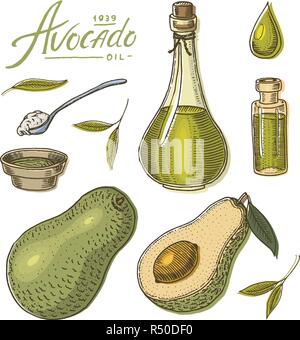 Tropische Avocado. Satz von Immergrün Obst Pflanze. Organisches Öl in der Flasche. Blätter und Zweige, Blätter und Samen. Isolierte Vektor Hand gezeichnet. Vintage Vorlage für Design. Graviert monochrom Skizze Stock Vektor