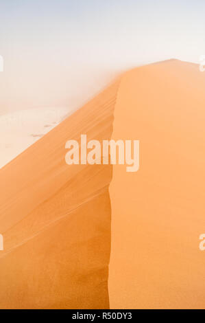 Nach oben Big Daddy Dünen, Wüste Namib, Namibia Stockfoto