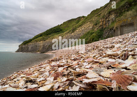 Port En Bessin Huppain Stockfoto