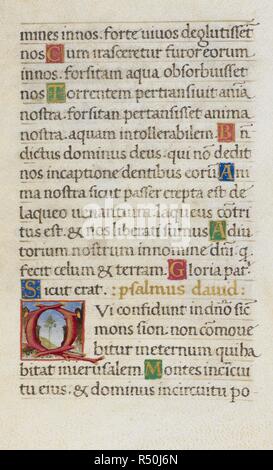 Text Seite mit ersten 'Q'. Mirandola Stunden. Italien, ca. 1490-1499. [Ganze folio] Text Seite von den Stunden der Jungfrau. Psalm 123; der Beginn von Psalm 124 mit ersten 'Q', der Äste gegen einen malerischen Hintergrund Bild von Mirandola Stunden gebildet. Ursprünglich veröffentlicht in Italien produziert, ca. 1490-1499. Quelle: Hinzufügen. 50002, f 36. Sprache: Latein. Stockfoto