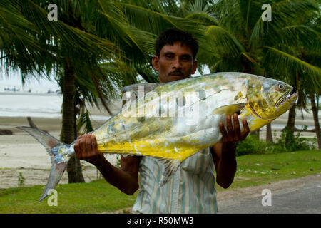 Ein Mann hält einen großen Größe Surma Fisch. Cox's Bazar, Bangladesch. Stockfoto