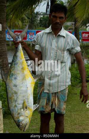 Ein Mann hält einen großen Größe Surma Fisch. Cox's Bazar, Bangladesch. Stockfoto