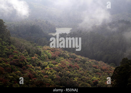 Berijam Seeblick, Kodaikanal, Tamil Nadu, Indien Stockfoto