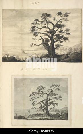 Otahiete. Der Baum, auf One Tree Hill. Auch in anderen Versionen als: Blick auf Matavia beschrieben [d. h. ] Matavai Bay im Otaheite, von One Tree Hill, der Baum ist eine Pflanzenart aus der Gattung der Erythrina genommen. Die Zeichnungen zeigen die großen zentralen Baum auf einem Hügel, mit dem Bemühen, in einer Bucht vor Anker auf der linken Seite mehrere Figuren, Häuser am Ufer im Zentrum Entfernung, Hügel und Bäume auf der rechten Seite. . Eine Sammlung von Zeichnungen von A. Buchan, S. Parkinson, und J. F. Miller, in den Ländern, besucht von Captain James Cook auf seiner ersten Reise [1768-1771], auch der Drucke in John's Hawksworth Reisen von Biro veröffentlicht. Stockfoto