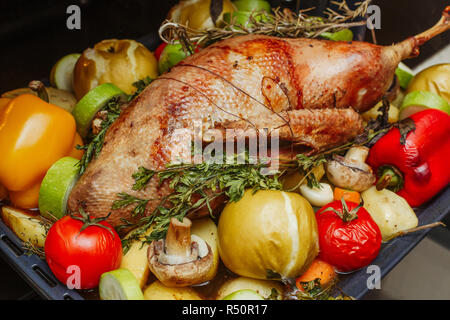 Ganzen gebratene gefüllte Gans mit Äpfel, Kräuter und Gemüse auf Pan. Bereit für Weihnachten Stockfoto