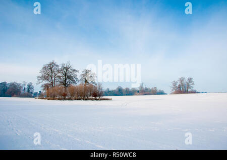 Schneefelder Stockfoto