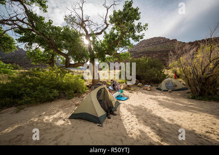 Zwei Zelte im Camp auf einem Green River Rafting Trip, Wüst/Grau Canyon, Utah, USA Stockfoto