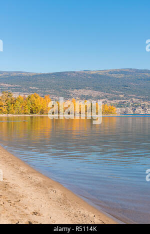 Sandstrand und ruhige See mit gelben Bäume im Herbst und blauer Himmel Stockfoto