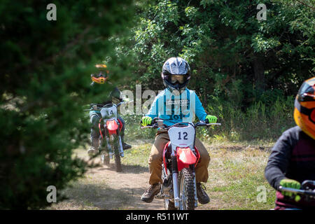 Zwei Jungen und ein Mann reiten Motorräder in einem Wald Stockfoto