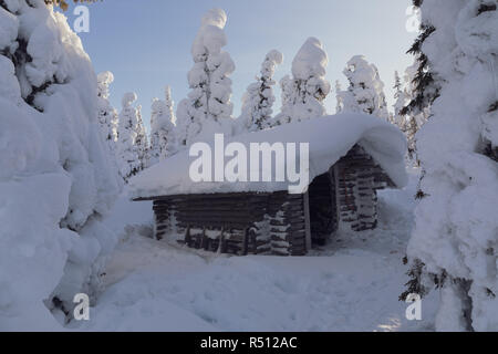 Holzschuppen von weißen Schnee im Wald in Rovaniemi, Finnland Stockfoto