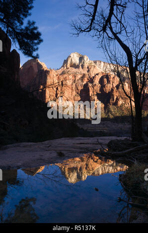 Wasser gefüllt Tarn spiegelt den hohen Berge Zion National Park Stockfoto