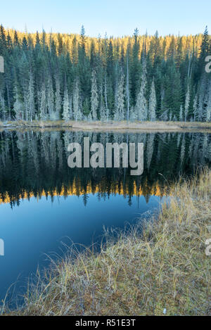 Huff See, ein Moor See in Kaniksu National Forest, Washington. Stockfoto