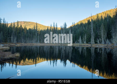 Huff See, ein Moor See in Kaniksu National Forest, Washington. Stockfoto