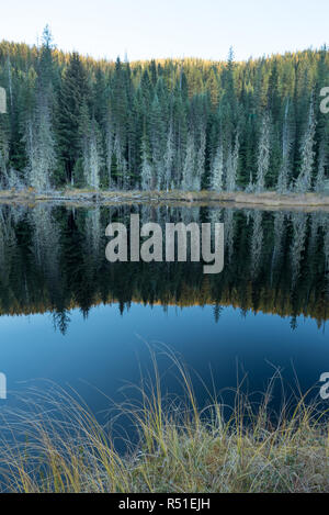 Huff See, ein Moor See in Kaniksu National Forest, Washington. Stockfoto