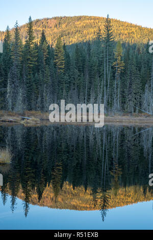 Huff See, ein Moor See in Kaniksu National Forest, Washington. Stockfoto