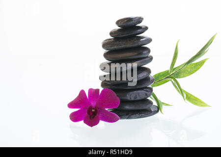Schwarz zen Steine mit Dendrobium orchid Stockfoto