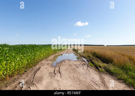 Straße in einem Feld mit Pfützen und Schlamm nach Regen, für die Bewegung der großen landwirtschaftlichen Maschinen Stockfoto