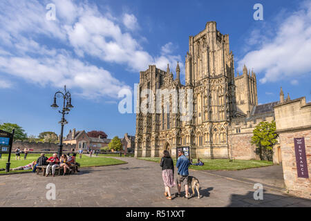 Die beeindruckende Wells Cathedral ist im Mai Sonnenschein. Stockfoto