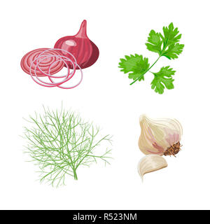 Zwiebeln, Knoblauch, Petersilie, Dill. Frisches Gemüse Stockfoto