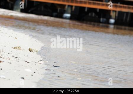 Wasser plätschern Muscheln an Land friedlich Stockfoto