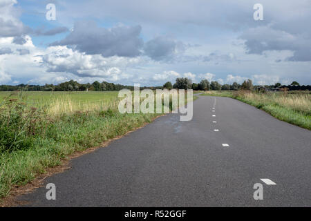 Fahrrad Straße, Radweg, mit Straße Linien, durch Wiesen, Weiden unter einem bewölkten Himmel und Bäume am Horizont umgeben. Stockfoto