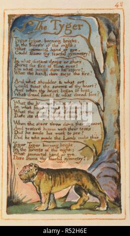 "The Tyger". Lieder der Unschuld und Erfahrung. [Ein Faksimile. H. Jung & Söhne: Liverpool, 1923. The Tyger'. Ein Gedicht. Bild aus Lieder der Unschuld und Erfahrung. [Ein Faksimile eines coloredand vergoldete Kopie der ersten Edition.] Ursprünglich veröffentlichte/in H. Jung & Söhne: Liverpool, 1923 produziert. . Quelle: C.71. d., 19., 42. Sprache: Englisch. Stockfoto