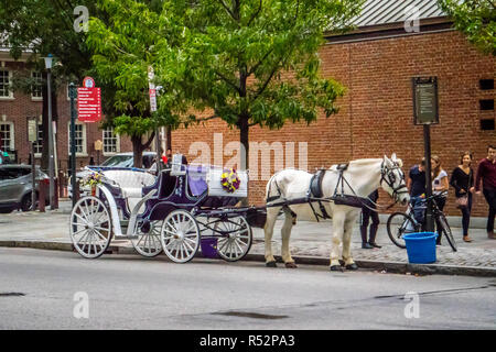 Eine große lila Kutsche in Pennsylvania, Philadelphia Stockfoto