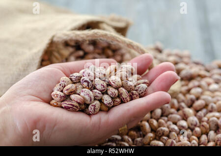 Bohnen in der Hand der Frau. Es gibt Bohnen auf dem Hintergrund Stockfoto