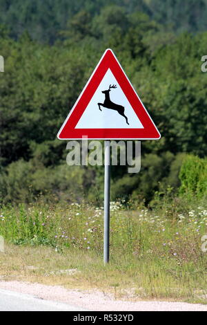 Rotwild Kreuzung Warnung Schild warnt, dass die Hirsche oft Fahren oder Fahren auf den Straßen befindet sich an der asphaltierten Straße und mit hohem Gras umgeben Stockfoto