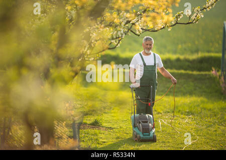 Ältere Menschen Rasen mähen in seinem Garten (selektive Fokus flachen DOF) Stockfoto