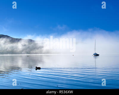 Ente und Boot auf nebligen See. Sunshine abfackeln Nebel ein strahlend blauer Himmel zu offenbaren. Ente ist Schwimmen Vergangenheit und eine Jolle taucht aus dem Nebel. Stockfoto