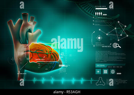Menschliches Herz Stockfoto