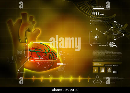 Menschliches Herz Stockfoto
