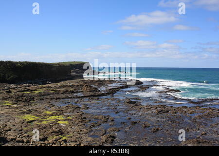 Versteinerten Wald in Curio Bay Neuseeland Stockfoto