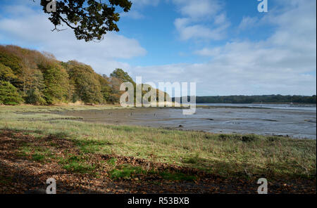 Picton, Pembrokeshire, Wales Stockfoto