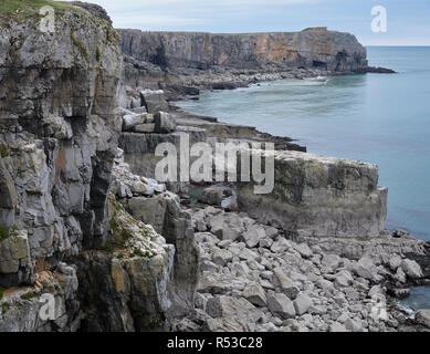 St. Govan's Kopf, Pembrokehsire, Wales Stockfoto