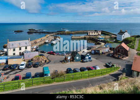 St Abbs, Scottish Borders, Berwickshire, Schottland, Großbritannien Stockfoto