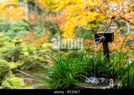 Wasser Bambus in japanischen Tempel im Herbst Stockfoto