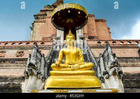 Golden Buddha Statue an der Freien royalty öffentlichen Tempel in Chiang Mai Thailand. Stockfoto