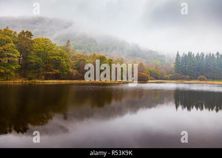 Yew Tree Tarn im Nebel, Lake District, Cumbria, England Stockfoto