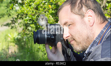 Ein Fotograf mit einer jungen Songbird auf seiner Kamera Stockfoto